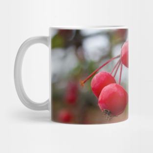 Crab apple crabapple thanksgiving Mug